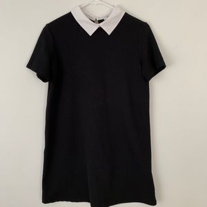 Zara Mini Dress with Collar